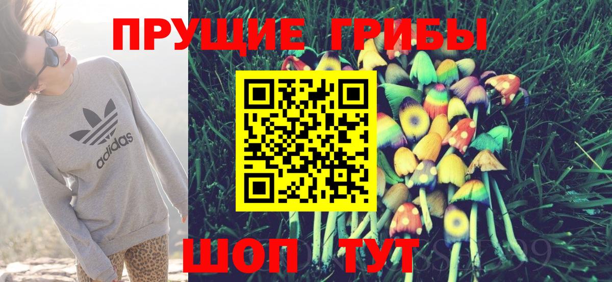 Галлюциногенные грибы Magic Shrooms  Вход с VPN  Псилоцибиновые грибы мухоморы  Гулькевичи 