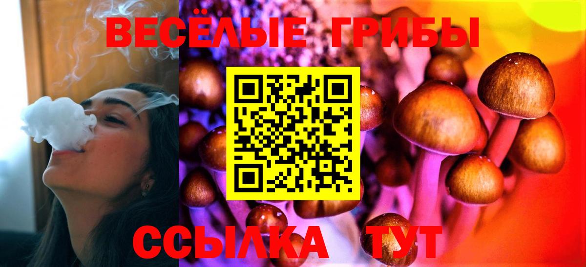Галлюциногенные грибы Magic Shrooms Гулькевичи
